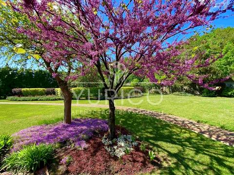 будинок за адресою Київська вул.