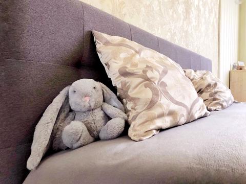 квартира за адресою Олени Пчілки вул., 6-А