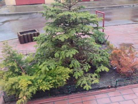 квартира за адресою Шевченка вул., 46