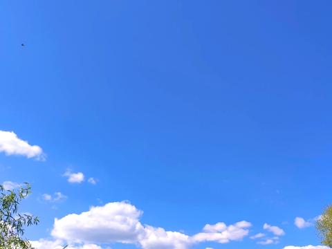 ділянка за адресою Київська, 55