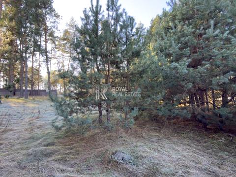 ділянка за адресою котляревського, 1