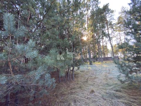 ділянка за адресою котляревського, 1