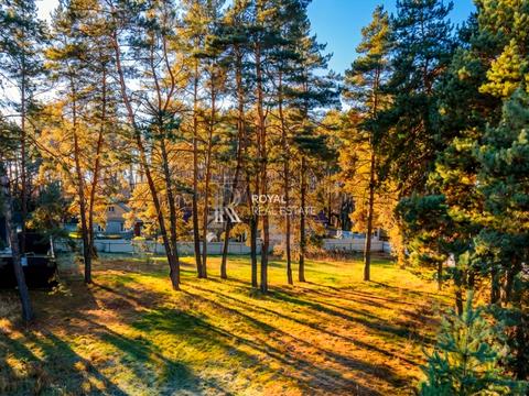 ділянка за адресою котляревського, 1