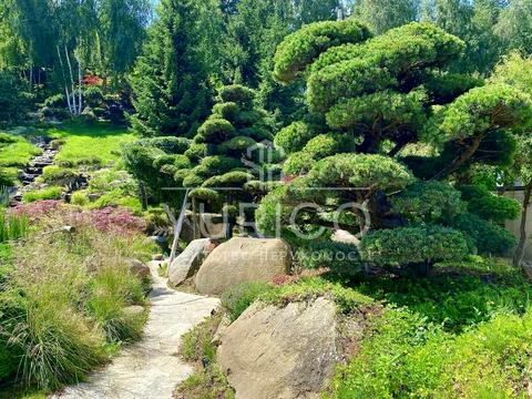 дом по адресу Ватутина пер.