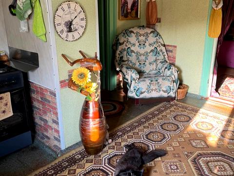 участок по адресу шевченка, 2