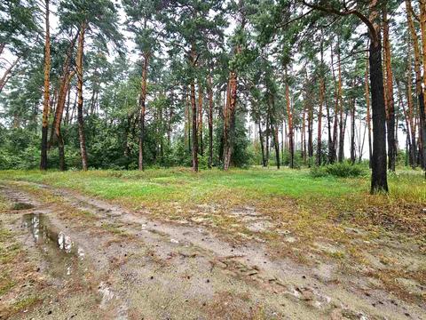 участок по адресу шевченка, 2