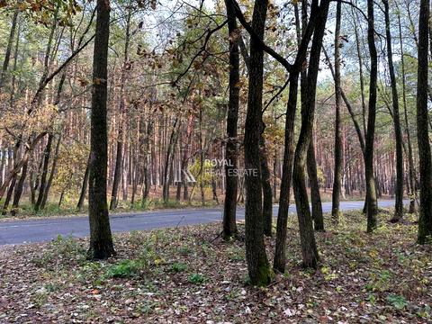 дом по адресу Вільхова