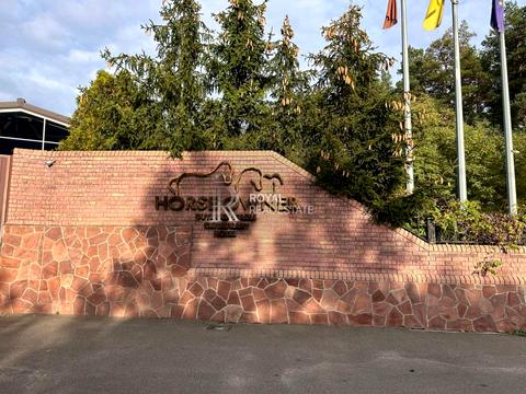 дом по адресу Вільхова