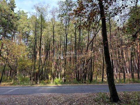 дом по адресу Вільхова