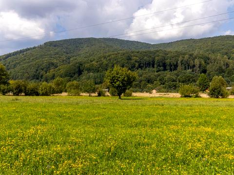 участок по адресу Яремче, Свободи ул.