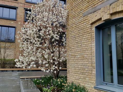 коммерческая по адресу Науки просп., 1