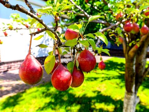 дом по адресу Пограничная ул., 44