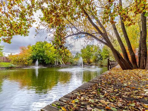 будинок за адресою Чумацький Шлях вул.