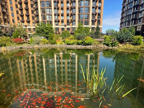 квартира по адресу Радісна, 4