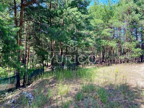 участок по адресу Новообухівське шосе