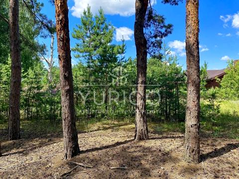 участок по адресу Новообухівське шосе