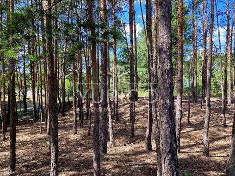 участок по адресу Новообухівське шосе