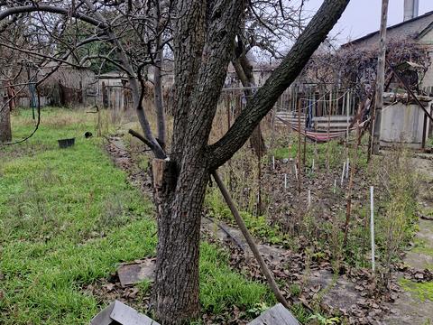 дом по адресу Щоглова ул.