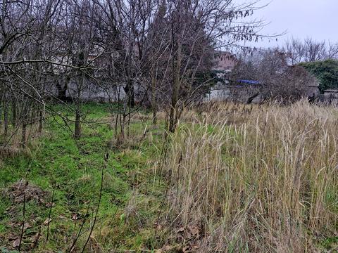 дом по адресу Щоглова ул.