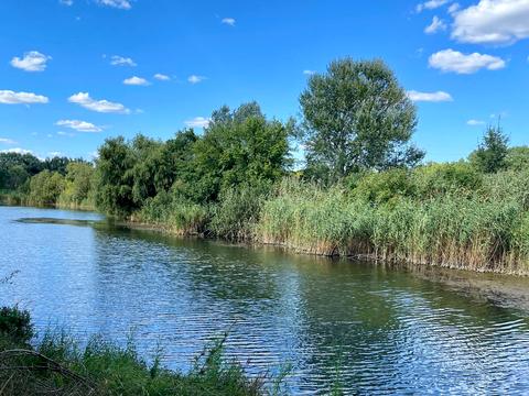 комерційна за адресою Низова, 2д