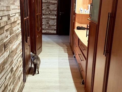 квартира за адресою Рибальський пров., 14