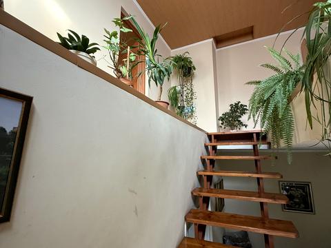 дом по адресу Стрельничная ул.