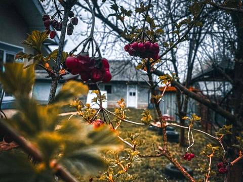 будинок за адресою Центральна