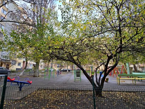 квартира по адресу Академика Королёва ул., 104/1