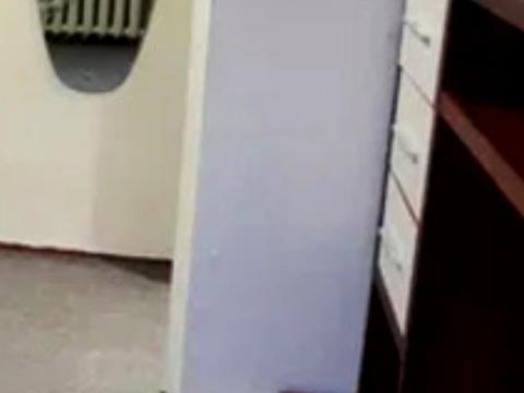 квартира за адресою Олекси Тихого вул. (Виборзька), 55/13