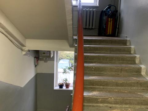 квартира по адресу Городоцкая ул., 241