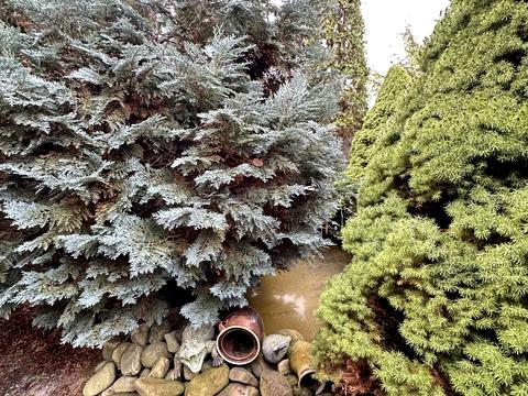 дом по адресу Свято-Покровская ул. (Ленина)