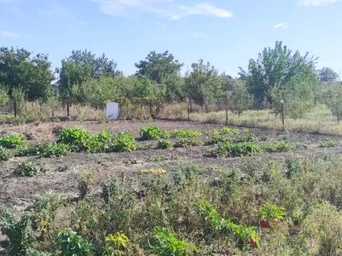 будинок за адресою Довженка