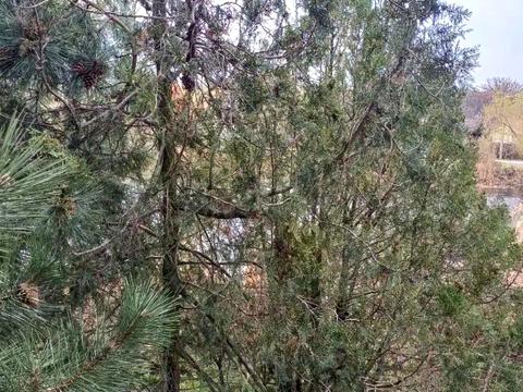 будинок за адресою Підгородне, Набережна