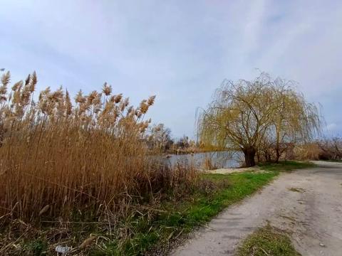 будинок за адресою Підгородне, Набережна