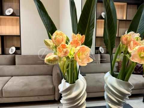 квартира за адресою Садово-Ботанічна вул. (Тимірязєвська), 46