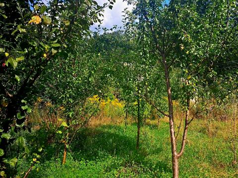 участок по адресу Винница, 