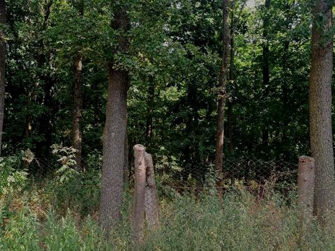 участок по адресу Винница, 