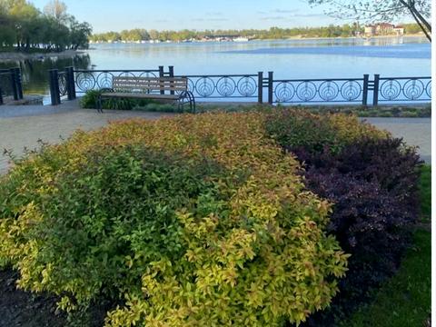 квартира по адресу Приозёрная ул., 12-А