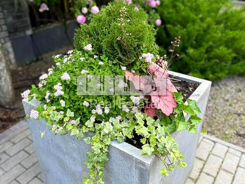 дом по адресу Витянская ул.