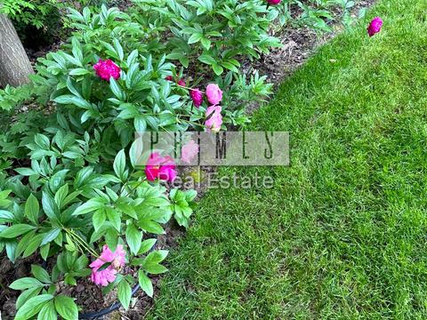 дом по адресу Витянская ул.