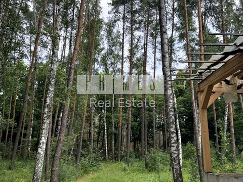 будинок за адресою с. Мала Солтанівка, Лісова