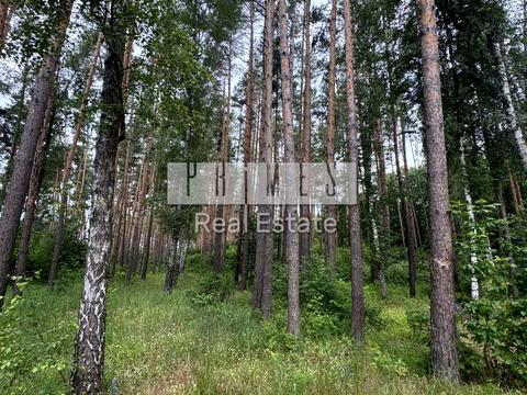 будинок за адресою с. Мала Солтанівка, Лісова