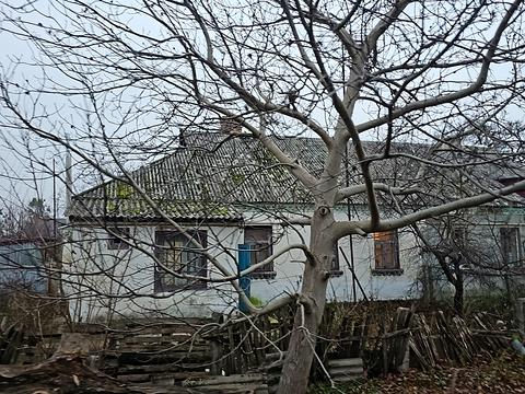 дом по адресу Зоряна