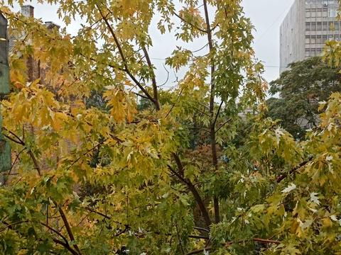 квартира за адресою Гоголівська вул., 6-А