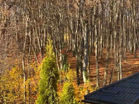 будинок за адресою Львів, Соколина вул., 41