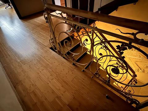 дом по адресу Стрийская ул., 250