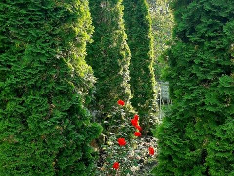 будинок за адресою смт. Новопокровка, заводская