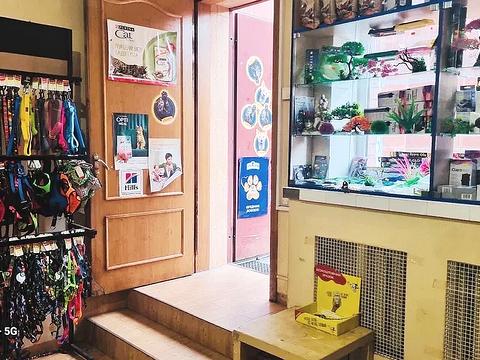 комерційна за адресою Анни Ахматової вул., 13