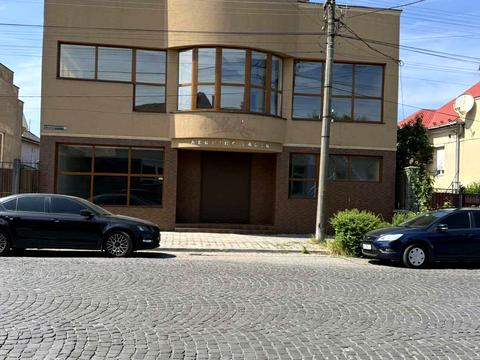 комерційна за адресою Михайла Грушевського вул., 31А