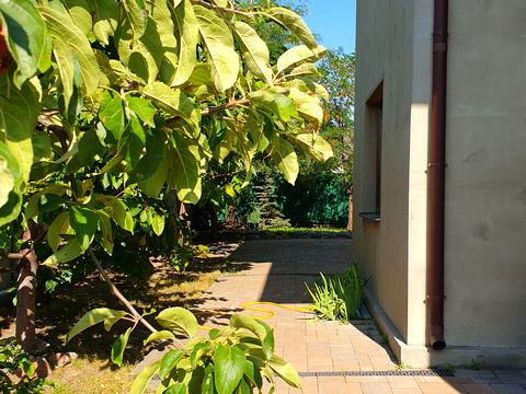 будинок за адресою Івана Руденка вул., 50 А